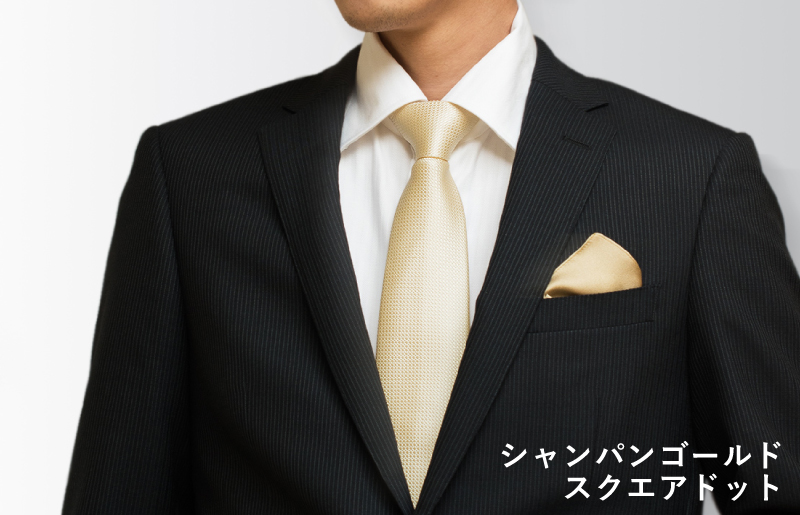 繧キ繝ォ繧ッ繝阪け繧ソ繧、シ医せ繧ッ繧ィ繧「繝峨ャ繝医繧キ繝」繝ウ繝代Φ繧エ繝シ繝ォ繝会シ