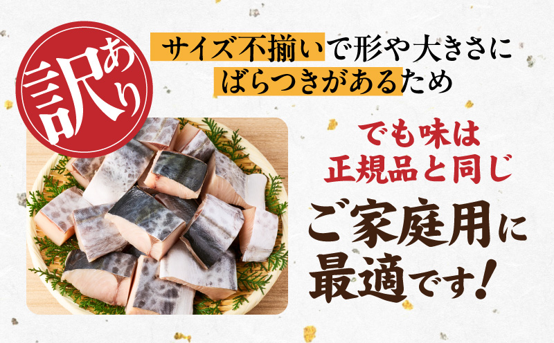 【定期便】さわら 切身 約50g×20切れ 全3回【お弁当サイズ 小分け 漁師 手切り 1kg 泉州 鰆 切り身 弁当 朝食 時短 訳あり サイズ不揃い 規格外 冷凍食品】
