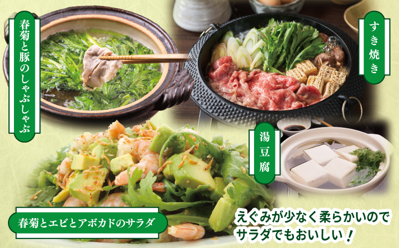 【先行予約】TONOファーム 春菊 6袋（合計900g以上）【大阪 泉佐野 大阪府 泉佐野市】