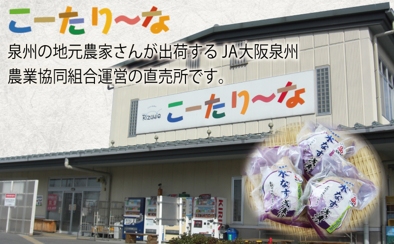 泉州 水なす浅漬け（4個入り）【大阪 泉佐野 大阪府 泉佐野市】