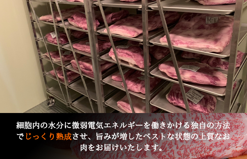 010B582 国産 熟成和牛100％ ハンバーグ ステーキ 10個 1.5kg ビーフ 牛肉 牛 焼くだけ 簡単 便利 期間限定|JALふるさと納税 |JALのマイルがたまるふるさと納税サイト