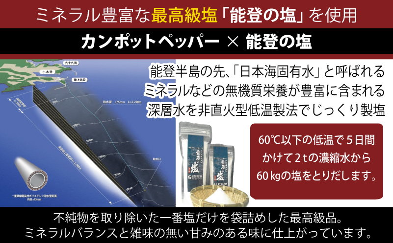 生胡椒 極(きわみ) 60g×1本【能登の塩 コショウ こしょう カンポットペッパー スパイス カンボジア】