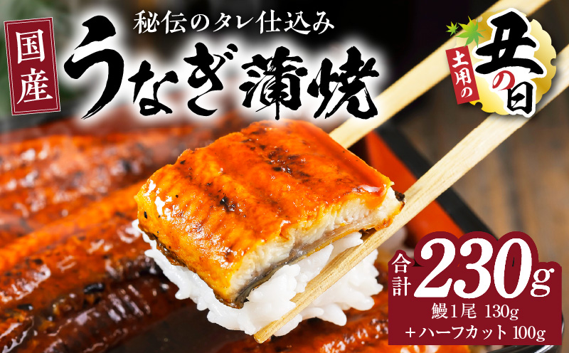 【土用の丑の日までにお届け】国産うなぎ 合計230g【鰻1尾 130g+ハーフカット 100g 訳あり 規格外 ウナギ 無頭 炭火焼き 備長炭 手焼き レンジ 温めるだけ 簡単調理】