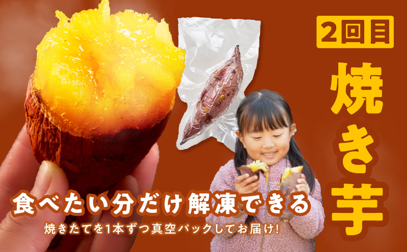 【定期便】干し芋 600g/焼き芋1kg 全2回 交互便【ほしいも 芋 いも 無添加 紅はるか 干しいも おやつ サツマイモ さつまいも】