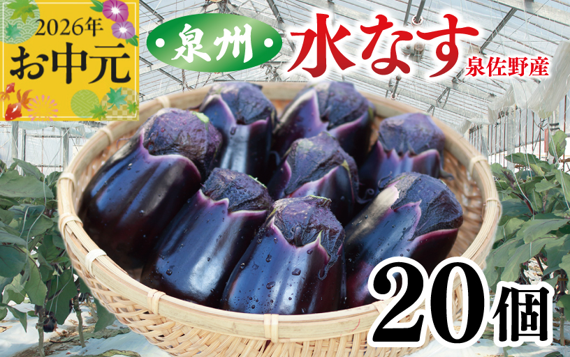 【お中元対応】泉州 泉佐野市産 ハウス水なす 20個【茄子 泉佐野産 とれたて 新鮮野菜 やさい 高評価】