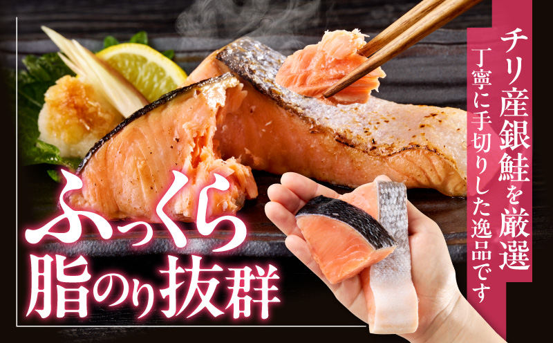 【定期便】銀鮭 切身 約50g×20切れ 全6回【お弁当サイズ 小分け 漁師 手切り 1kg さけ サケ 切り身 弁当 朝食 時短 訳あり サイズ不揃い 規格外 冷凍食品】