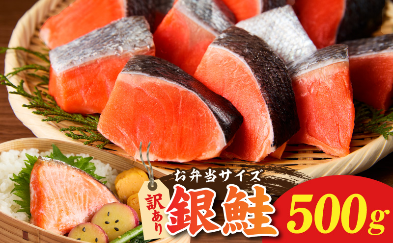 鮭の切り身 500g（11〜13切れ）【お弁当 訳アリ 不揃い 切身 サケ さけ しゃけ シャケ 魚介 海鮮 魚 さかな】