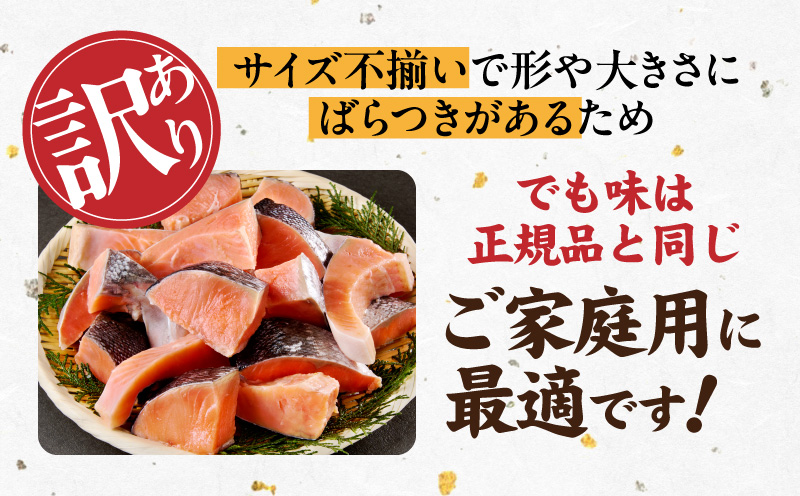【定期便】銀鮭 切身 約50g×20切れ 全6回【お弁当サイズ 小分け 漁師 手切り 1kg さけ サケ 切り身 弁当 朝食 時短 訳あり サイズ不揃い 規格外 冷凍食品】