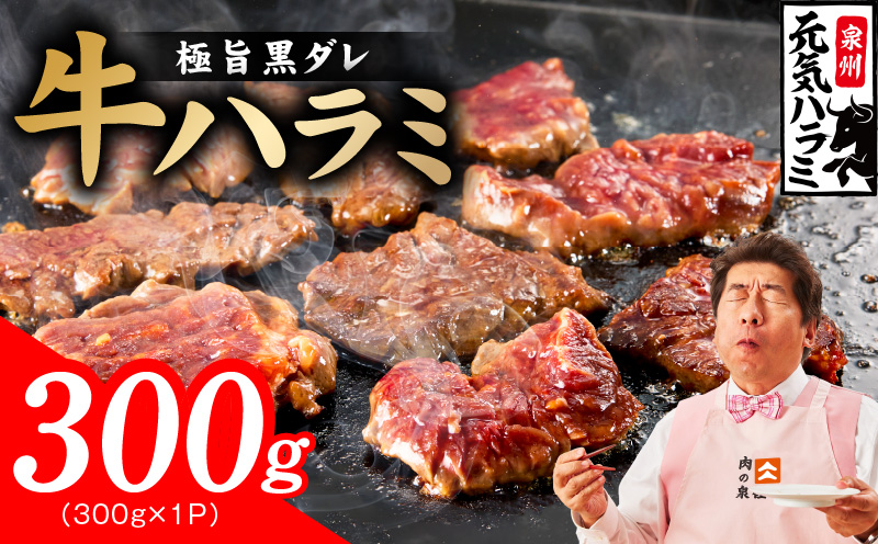 【新登場】極旨黒ダレ 牛ハラミ 300g【お試し 牛肉 はらみ 小分け 焼肉 お弁当 BBQ 訳あり ワケアリ わけあり サイズ不揃い 規格外 TVで話題 大阪 泉佐野 大阪府 泉佐野市】