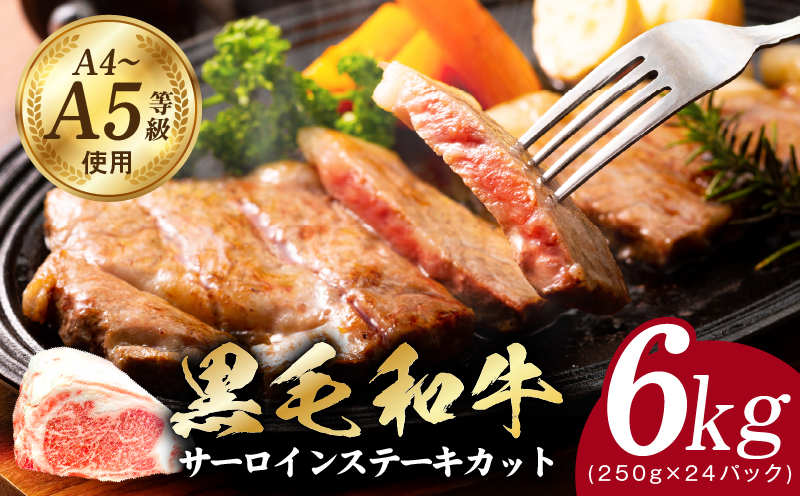 A5/A4ランク 黒毛和牛 サーロインステーキカット 合計6kg（250g×24P）【極味付け肉】
