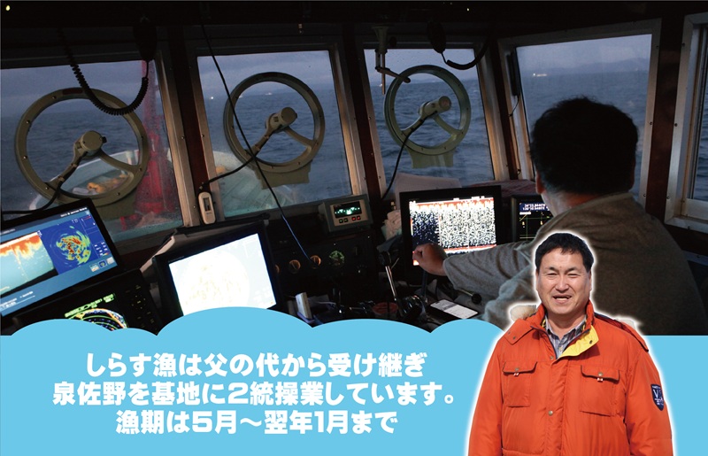 ちりめん山椒しらす 900g【小分け 150g×6P シラス しらす sirasu 海鮮 人気 おすすめ 産地直送】