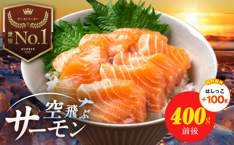 【特別規格】アトランティック サーモン 400g＋はしっこ100g【エコパック 小分け 訳あり サイズ不揃い 刺身 さーもん 冷凍 北国からの贈り物】