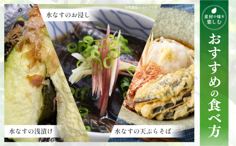 ãå
è¡äºçŽãç¹éž ç¡æ·»å æ°Žãªã挬ã åŸ³çšæ°Žãã¹ ã»ãããé£ã¹æ¯ã¹ æ°é®® éè æ³äœéç£ èå ããã TONOãã¡ãŒã é«è©äŸ¡ æ°ééå®ã