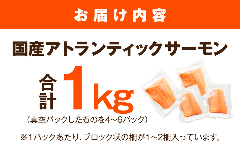 【分けて届く定期便】国産アトランティックサーモン 1kg ポーション【小分け 真空パック 訳あり サイズ不揃い 刺身 海鮮丼 さーもん 鮭 さけ シャケ しゃけ 冷凍 全2回 大阪 泉佐野 大阪府 泉佐野市】