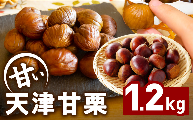 当店自慢の天津甘栗 1.2kg【小分け 400g×3P お菓子 おつまみ 人気 甘味料不使用】