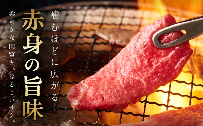 【氷温熟成×極味付け】黒毛和牛 カイノミ 焼肉用 600g【小分け 300g×2P 牛肉 かいのみ 赤身 希少部位】