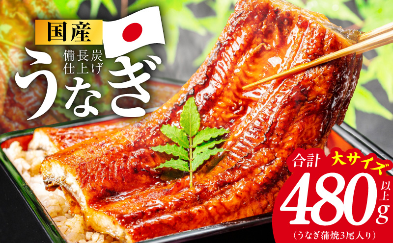 【特別規格】国産うなぎ蒲焼 480g以上（大サイズ3尾）【レンチン 湯煎対応 簡単調理 鰻 ウナギ 人気総菜 日本産 土用の丑の日にも】