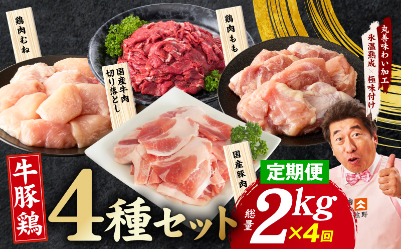【定期便】国産 牛豚鶏 4種セット 2kg×4回【氷温熟成×極味付け 牛肉 豚肉 鶏肉 もも むね 食べ比べ 普段使い 味付き 小分け 訳あり サイズ不揃い 毎月配送コース】