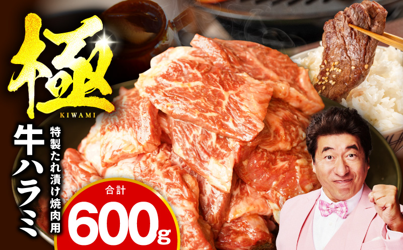 【お試し】牛肉 ハラミ 600g（300g×2P）【氷温熟成×特製ダレ】