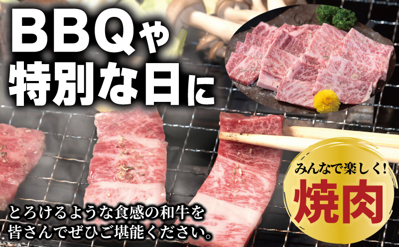 A5ランク 国産和牛 肩ロース 焼肉用 オリジナルスパイス 合計1.2kg（300g×4P）