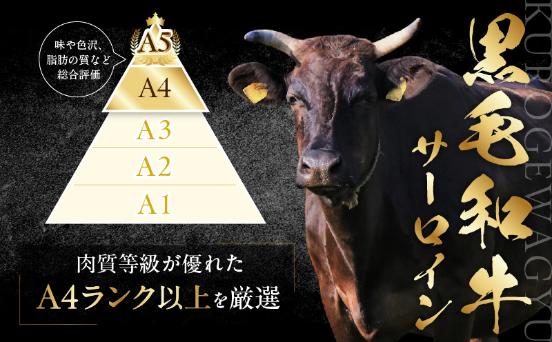 【A4ランク以上】黒毛和牛 サーロイン 切り落とし 1kg【250g×4P 小分け 国産 味付き 牛肉 訳あり サイズ不揃い】