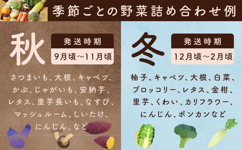 泉州野菜 定期便 15種類以上×全4回【毎月配送 国産 野菜 やさい 詰め合わせ セット 新鮮 旬 ええもん ていきびん】