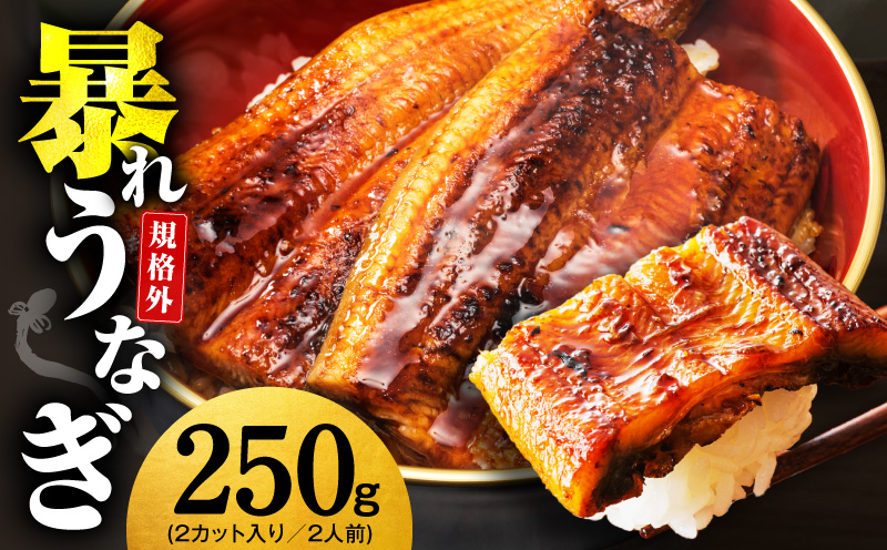 【規格外】うなぎ 暴れ盛り 250g（2カット）【お試し 鰻 かば焼き 簡単調理 訳あり サイズ不揃い 人気 惣菜 うな重 うな丼 ひつまぶし】