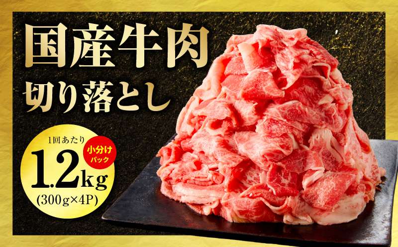 国産 牛肉＆豚肉＆鶏肉 まんぷく 定期便 5kg×4回【氷温熟成×極味付け 3種 食べ比べ 普段使い 味付き 小分け 訳あり サイズ不揃い 】