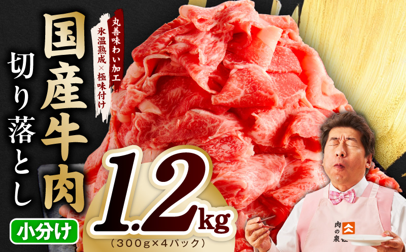 【スピード発送】国産牛 切り落とし 1.2kg 小分け 300g×4P【国産 牛肉 氷温熟成×極味付け 訳あり サイズ不揃い カレー 牛丼 野菜炒め 肉じゃが 家計応援 大阪 泉佐野 大阪府 泉佐野市】