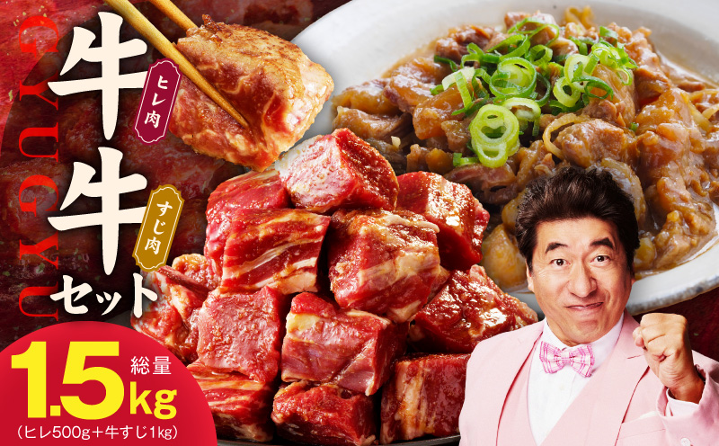 【氷温熟成×特製ダレ】牛ヒレ 500g＋牛すじ肉 1kg 総量1.5kg【味付き 訳あり サイズ不揃い 小分け 冷凍 SDGs フードロス カレー 煮込みに】