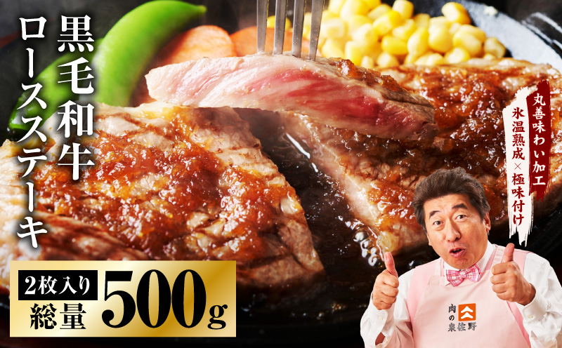 黒毛和牛 ロースステーキ 2枚 総量 500g【氷温熟成×極味付け 国産 牛肉 経産牛 すてーき 訳あり サイズ不揃い】