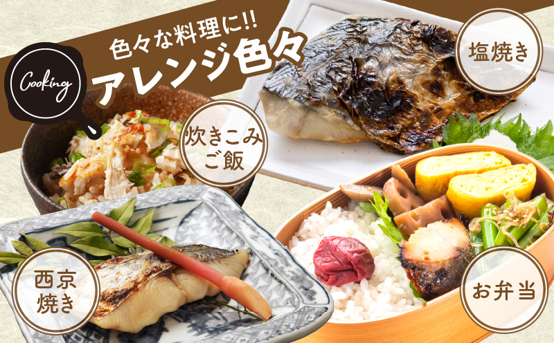 【定期便】さわら 切身 約50g×10切れ 全2回【2026年2月＆2026年5月発送 お弁当サイズ 小分け 漁師 手切り 500g 泉州 鰆 切り身 弁当 朝食 時短 訳あり サイズ不揃い 規格外 冷凍食品】