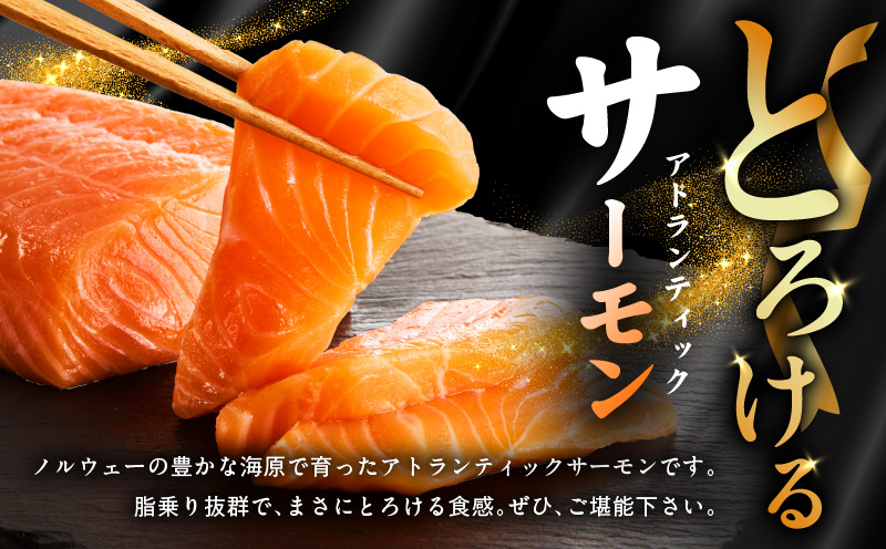アトランティックサーモン 食べ比べ 合計3.6kg（スライス2kg／柵 1.6kg）