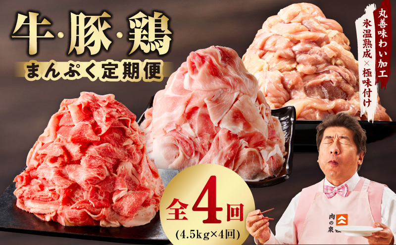 国産 牛肉＆豚肉＆鶏肉 まんぷく 定期便 5kg×4回【氷温熟成×極味付け 3種 食べ比べ 普段使い 味付き 小分け 訳あり サイズ不揃い 】