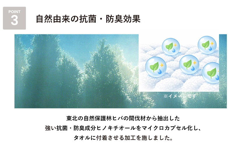 まごころ手ふきん 6枚セット ニシンの骨【布巾 手布巾 蚊帳生地 泉州タオル 吸水 ふきん 速乾 普段使い シンプル 日用品 家族 たおる】