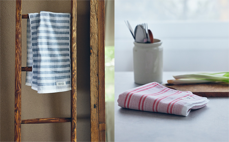 神藤タオル「シマ・フェイスタオル」（シングル/フォレスト）3枚セット【国産 吸水 普段使い シンプル 日用品 家族 ファミリー】