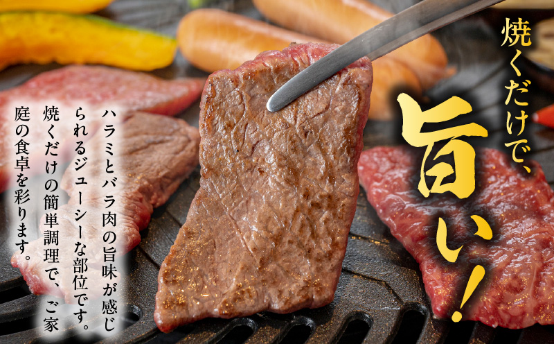 【氷温熟成×特製ダレ】希少部位 牛肉 うちハラミ 2kg（400g×5）