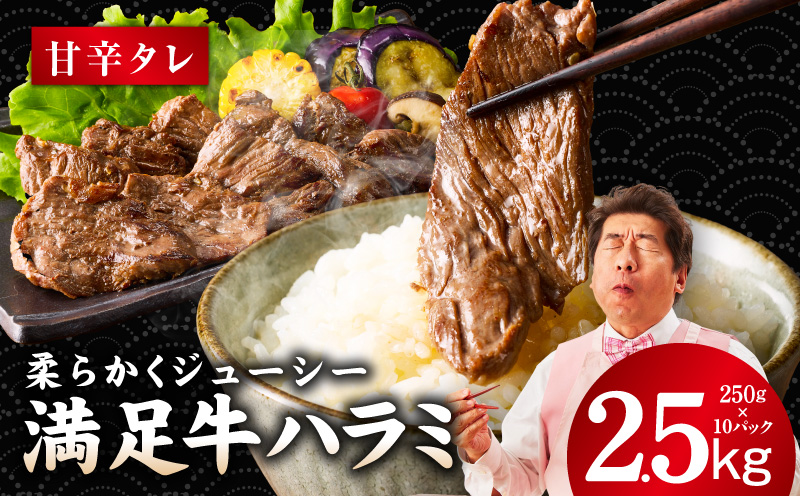 【満足牛ハラミ】甘辛タレ漬け 合計2.5kg 【味付け ハラミ 小分け 焼くだけ 簡単調理 BBQ 牛肉 250g×10P】