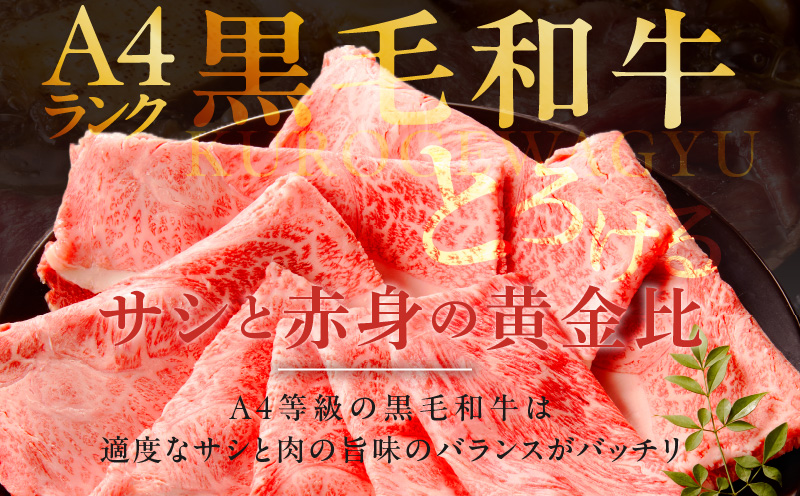 【スピード発送】A4ランク 黒毛和牛 すきしゃぶ用 500g【氷温熟成×極味付け すき焼き しゃぶしゃぶ 切り落とし スライス 牛肉 訳あり サイズ不揃い 家計応援 大阪 泉佐野 大阪府 泉佐野市】