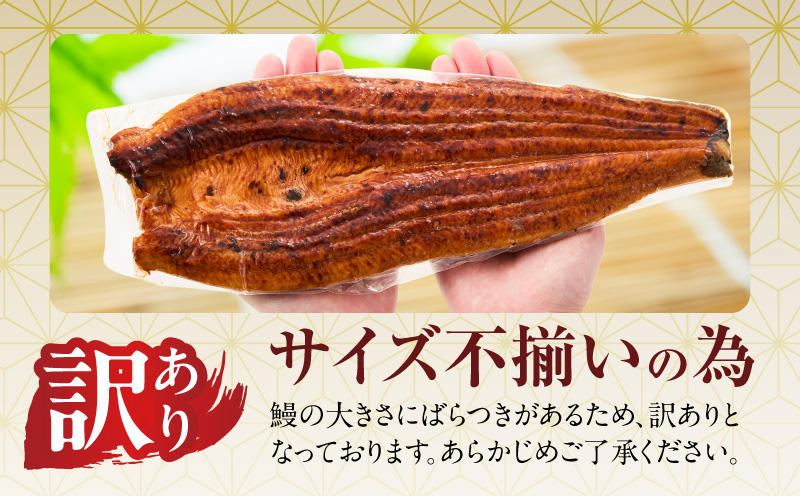 【土用の丑の日までにお届け】うなぎ 蒲焼き 暴れ盛り 合計 600g【鰻 真空パック 簡単調理 訳あり サイズ不揃い 人気 惣菜 うな重 うな丼 ひつまぶし にも 大阪 泉佐野 大阪府 泉佐野市】