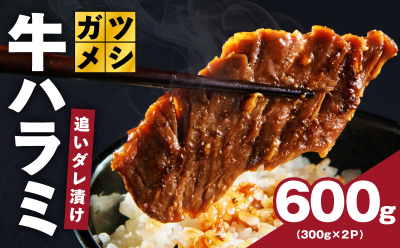ガツめし牛ハラミ 600g　追いダレ漬け【300g×2 ハラミはらみ 牛はらみ 牛肉 訳アリ 不揃い 小分け 大阪 泉佐野 大阪府 泉佐野市】
