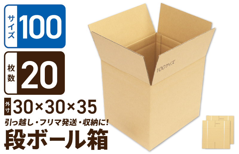 定番段ボール箱 宅配100サイズ×20枚セット【荷物 発送 引っ越し 収納 整理 フリマサイト 通販 配送 梱包】