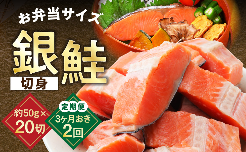【定期便】銀鮭 切身 約50g×20切れ 全2回【2026年3月＆2026年6月発送 小分け 漁師 手切り 1kg さけ サケ 切り身 弁当 朝食 時短 訳あり サイズ不揃い 規格外 冷凍食品】