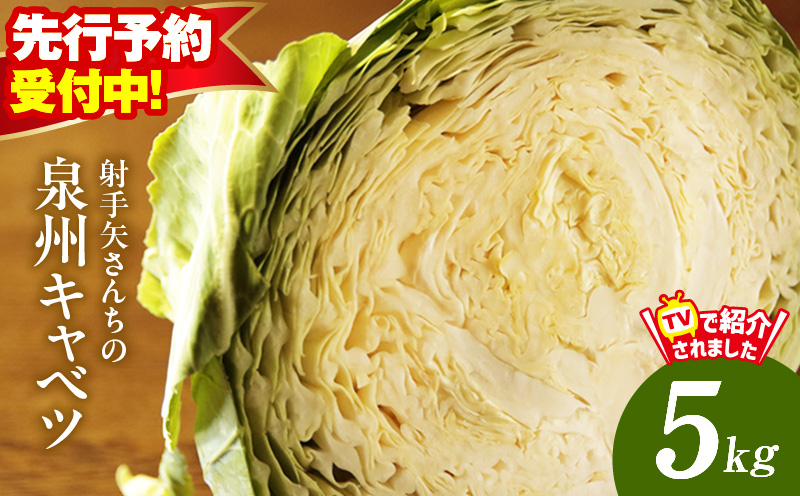 【先行予約】泉州キャベツ 5kg 2〜5玉 射手矢農園 訳あり サイズ不揃い【TVで紹介！】