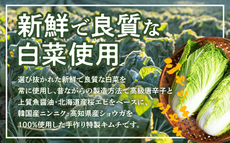 【リピーター続出】白菜キムチ1kg ＆ 特製チャンジャ 300g【新鮮野菜 高評価 人気 惣菜 きむち 漬物 韓国グルメ おつまみ 家計応援】