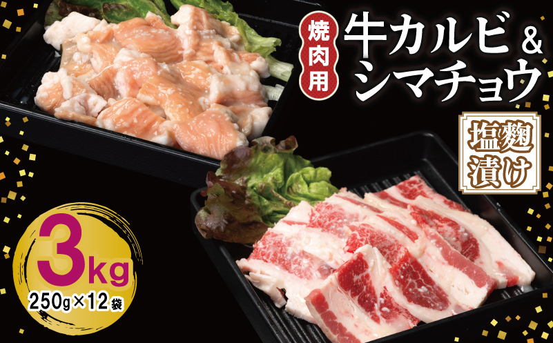 牛カルビ＆シマチョウ 塩麹漬け 焼肉セット 合計3kg【味付け 小分け 焼くだけ 簡単調理 BBQ 250g×12袋 牛肉 ホルモン】