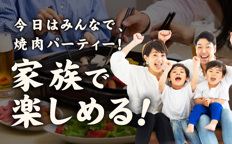 牛肉 ハラミ 1.2kg 小分け 300g×4P【氷温熟成×特製ダレ 味付き 牛肉 訳あり 不揃い 焼肉 BBQ 野菜炒め 圧倒的企業努力】