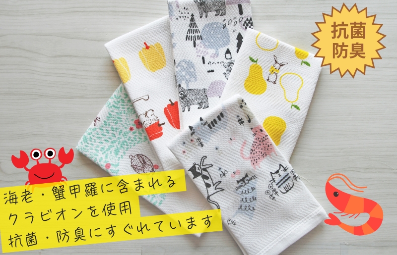 【無地熨斗】抗菌防臭！ふきぴか キッチンタオル 5枚セット （ギフト仕様 デザインおまかせ）