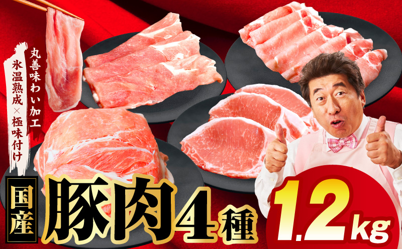 【スピード発送】国産 豚肉 4種 総量 1.2kg【300g×4P 氷温熟成×極味付け 小分け ぶたにく 普段使い 野菜炒め 大阪 泉佐野 大阪府 泉佐野市】
