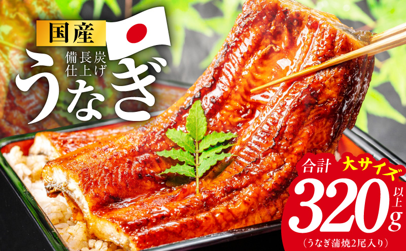 【特別規格】国産うなぎ蒲焼 320g以上（大サイズ2尾）【レンチン 湯煎対応 簡単調理 鰻 ウナギ 人気総菜 日本産 土用の丑の日にも 大阪 泉佐野 大阪府 泉佐野市】